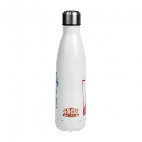 Isothermal bottle 1